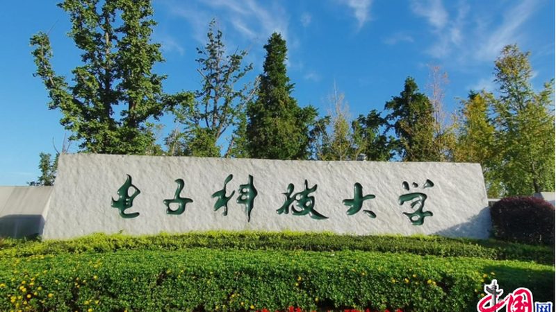 芯片与半导体：揭秘两者的本质区别